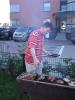 img010.jpeg.small.jpeg
