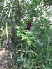 img004.jpeg.small.jpeg