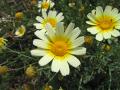 img016.jpeg.small.jpeg