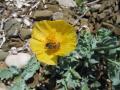 img020.jpeg.small.jpeg