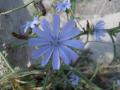 img022.jpeg.small.jpeg